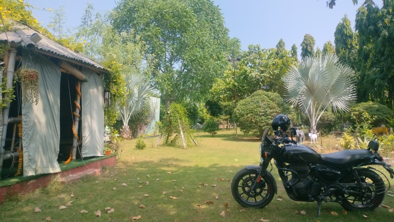 Selva Tree Hotels & Resorts - view 4