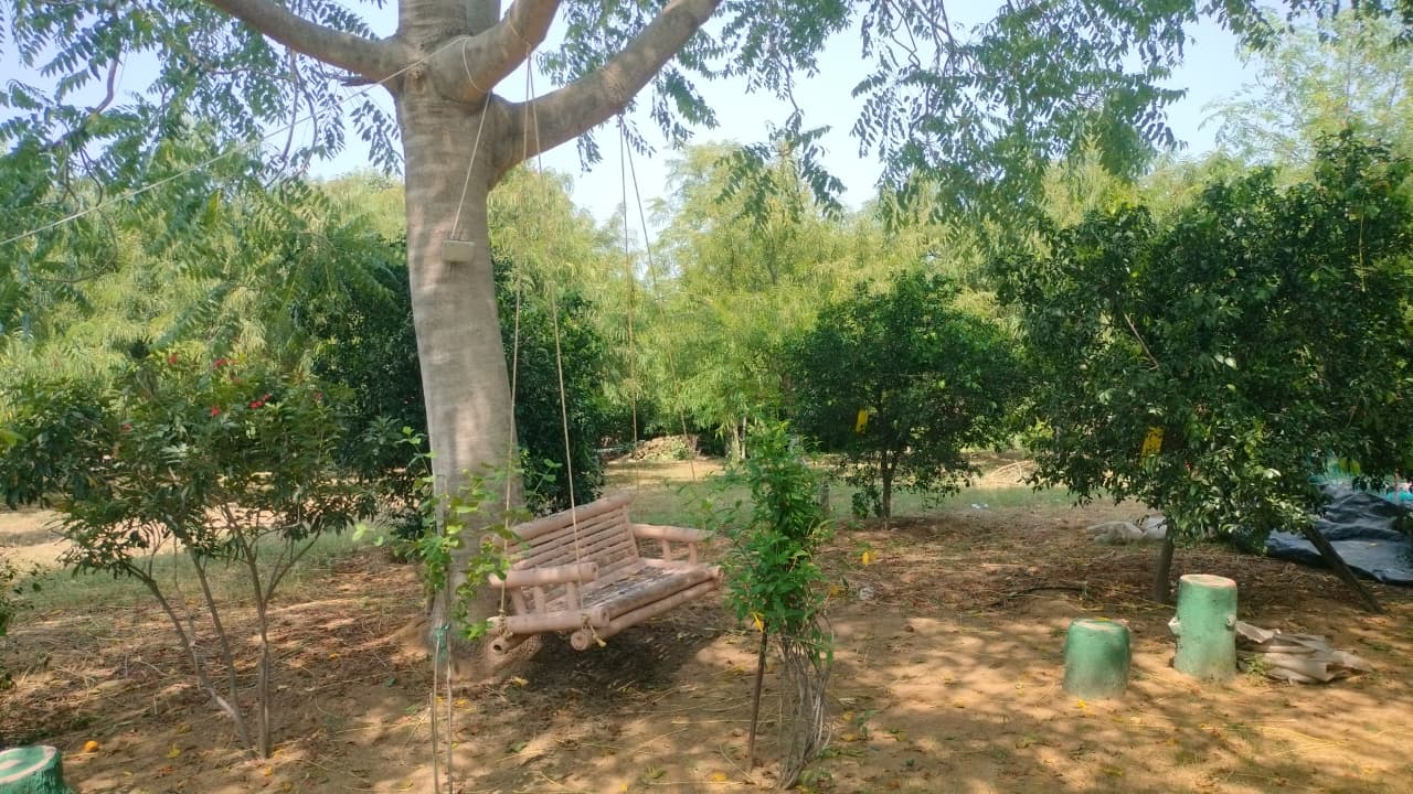 Selva Tree Hotels & Resorts - view 7